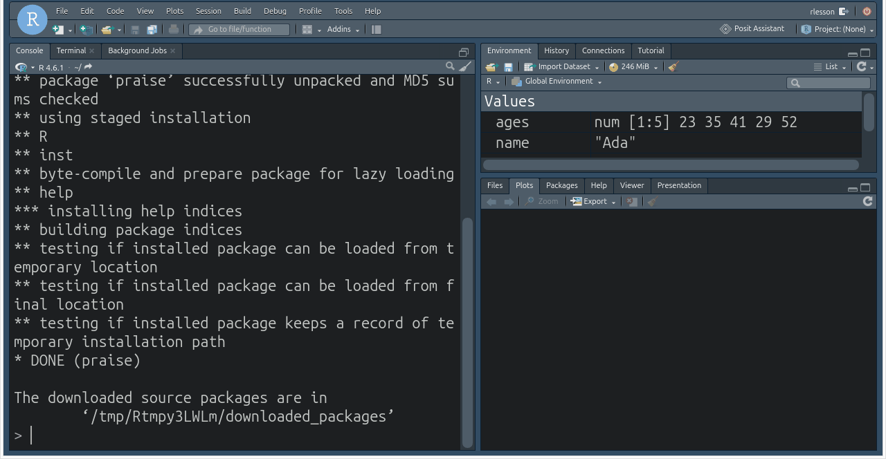 RStudio console output of install.packages('praise') ending with DONE (praise)