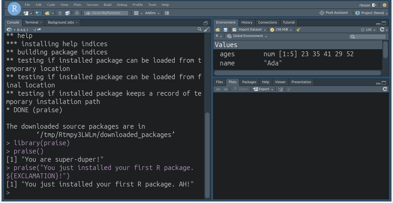 RStudio console showing library(praise) and two calls to praise() returning encouraging sentences